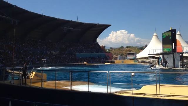 Marineland - Antibes смотреть онлайн