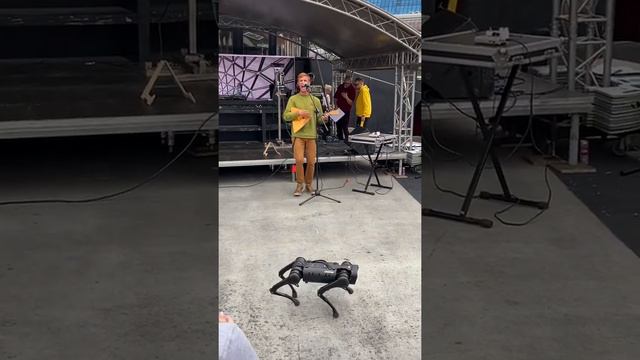Балалаечник на #geekpicnic смотреть онлайн