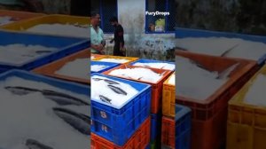 Байка про рыбалку: как мобильные телефоны помогли рыбакам заработать больше! #экономика #информация