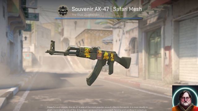 Souvenir AK-47 | Safari Mesh in Counter-strike 2 New Gun Model смотреть онлайн