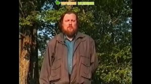 Тмин в народной медицине. Лечение тмином, польза, свойства и применение тмина