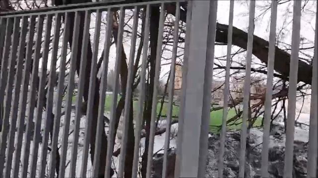 стадион "Красная Пресня" работает смотреть онлайн
