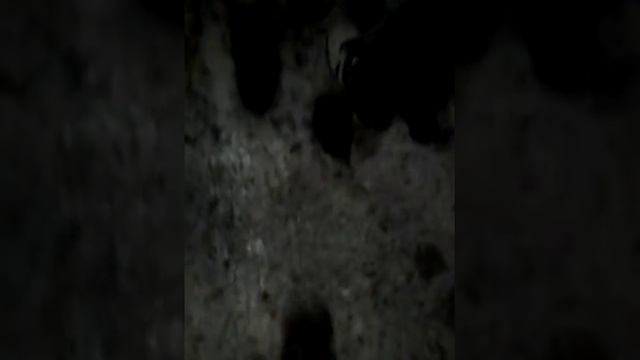 Аномальная зона смотреть онлайн