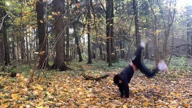 Отшельник из сибирских лесов бросает вызов гравитации и снежному человеку смотреть онлайн