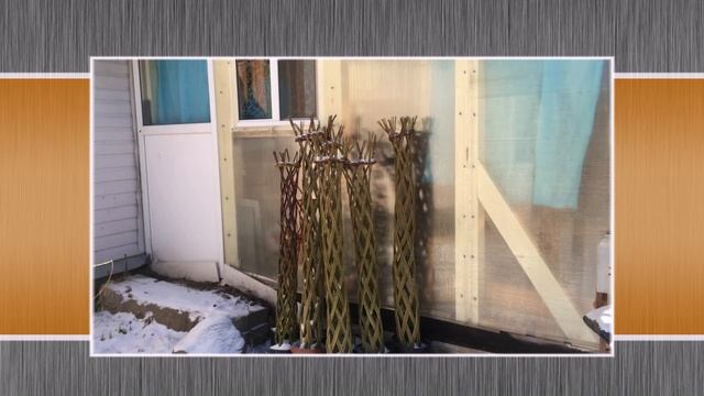 ПАВИВА Как сохранить живые плетёные деревья из ивы до весны. смотреть онлайн