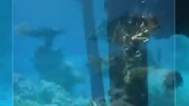 Поездка в Эйлат. Океанариум. Подводная экскурсия..flv смотреть онлайн