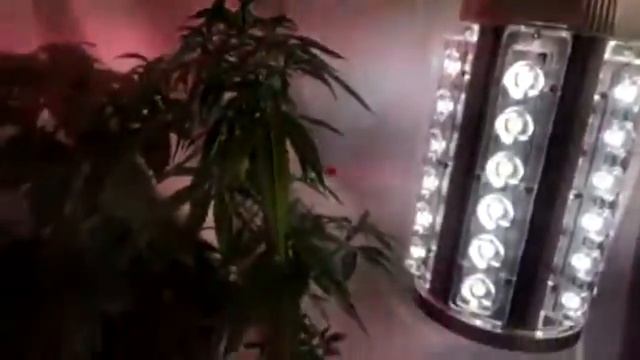 Upgrade flow cfl-led смотреть онлайн