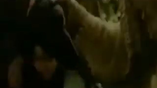 Курбан Байрам. (Департамент по связям с религиозными и общественными организациями)