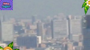 Хусейн Расаев.   Д1а йоьду жималла.