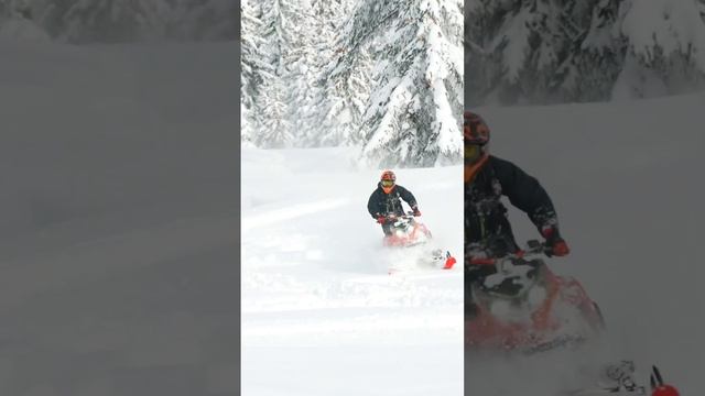 Lynx Shredder TURBO R #snow #skidoo #lynx # #snowmobile #viral #sleds #turbo