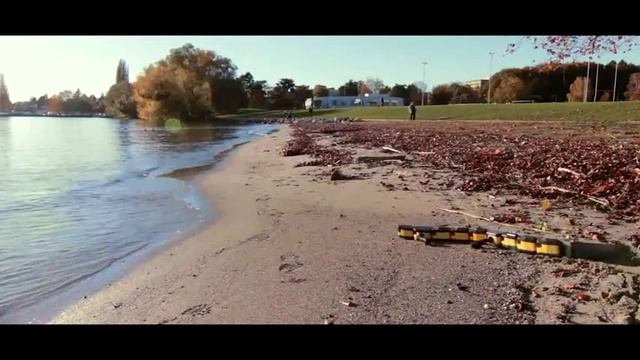 Salamandra Robotica II Robot Walking and Swimming смотреть онлайн