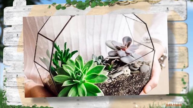 Флорариумы от компании "Чарівне скло" смотреть онлайн