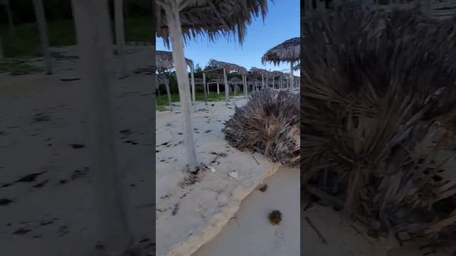 Memories Flamenco #cayococo #cuba ?? Oct 9-16 '21 Last #morning #beach #walk #travel #beachvibes смотреть онлайн