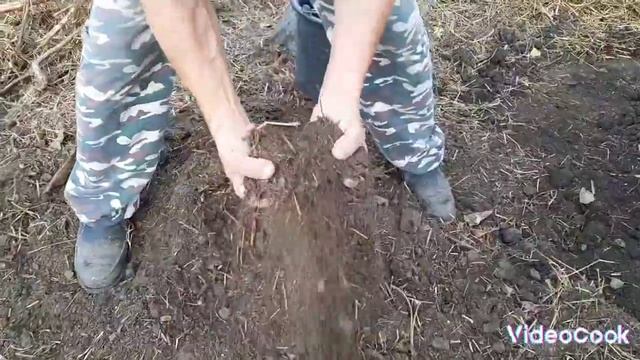 Очередная заготовка сена.Посадка винограда. смотреть онлайн
