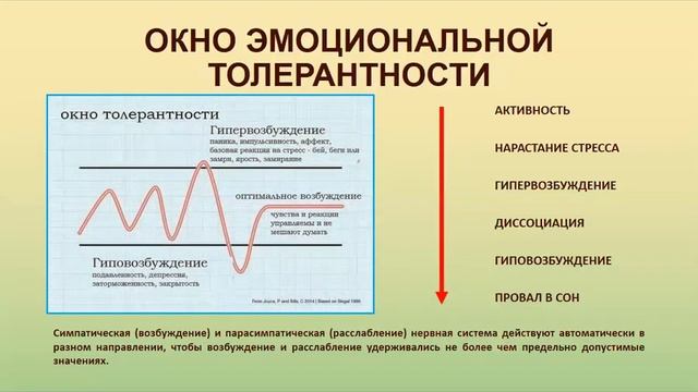 Первый год жизни ребенка