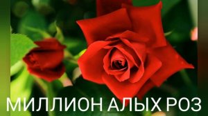 Миллион алых роз remix