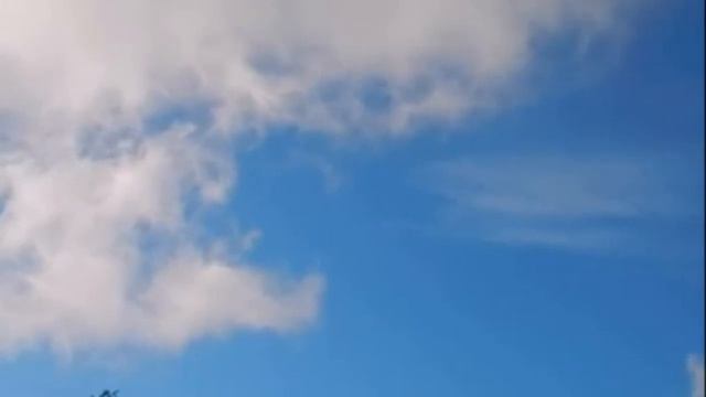 Хочу весенним ветром быть стихи Валерий Майоров Видео Виктор Поживин смотреть онлайн