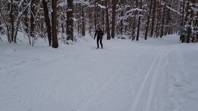 Классический ход на лыжах в подъём. Фрязино. Десятка.