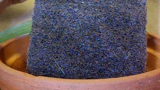 Mounting experiment смотреть онлайн