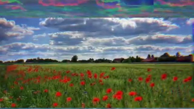 Всемирный день дикой природы ? смотреть онлайн