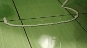 Установка унитаза своими руками. Секреты сантехники