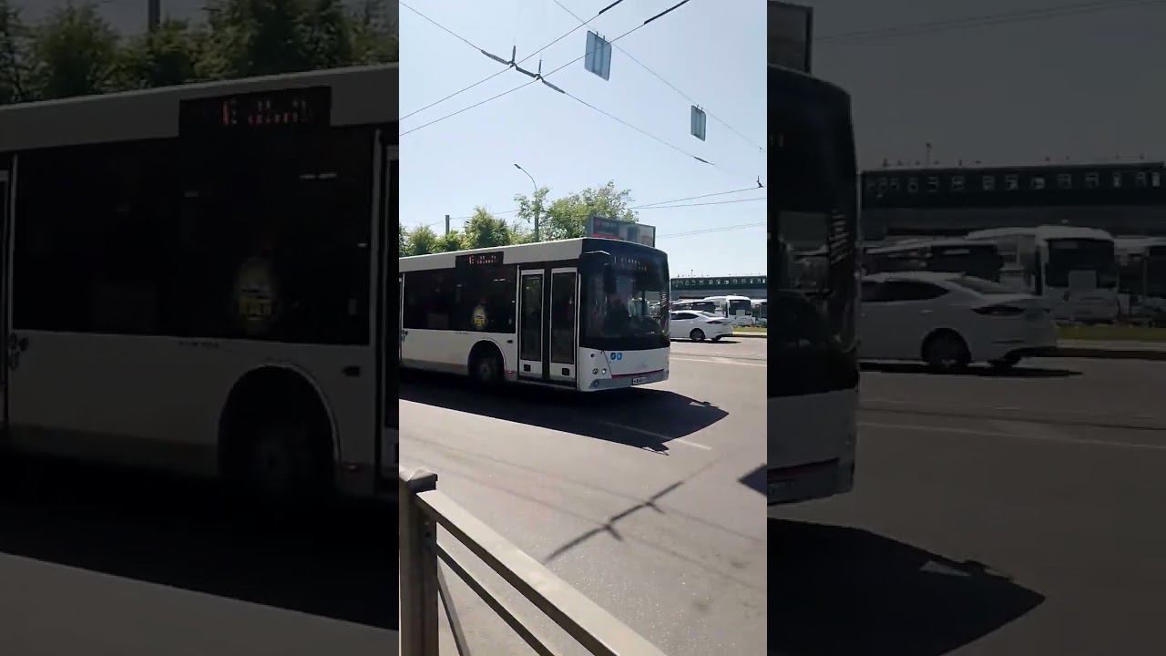 #beat #roblox #typebeat #роблокс #music #automobile #рек #cat #актив #garrysmod @DimaDM39