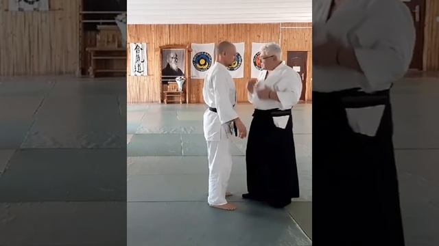 Прикол на семинаре Айкидо. Игорь Шмыгин, 6 дан айкикай, Шихан. Киев, Оболонь. смотреть онлайн