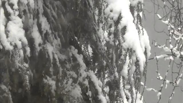 Middle Eastern Snow Suite I смотреть онлайн