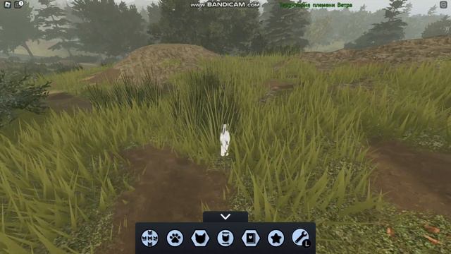 КАК ПОЛУЧИТЬ ШАРФ МУДРЕЦА НА НОВОЙ КАРТЕ? Warrior Cats: Ultimate Edition || Lingering Rain || смотреть онлайн