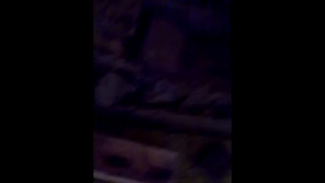 Летне зимний курятник своими руками