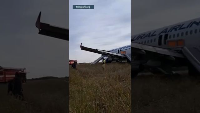 Аварийная посадка самолета в Новосибирской области смотреть онлайн