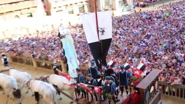 Белые быки. Сиена. Палио 16.08.13г. смотреть онлайн