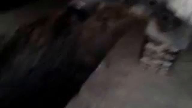 Тюннинг уаз 469 смотреть онлайн
