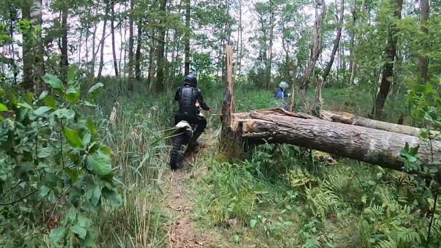 Первый раз на эндуро после дорожника. Хватит навыка проехать всю трассу? смотреть онлайн