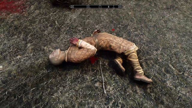 Day 330 - Killing Nazeem Every Day Until Elder Scrolls 6 is Released смотреть онлайн