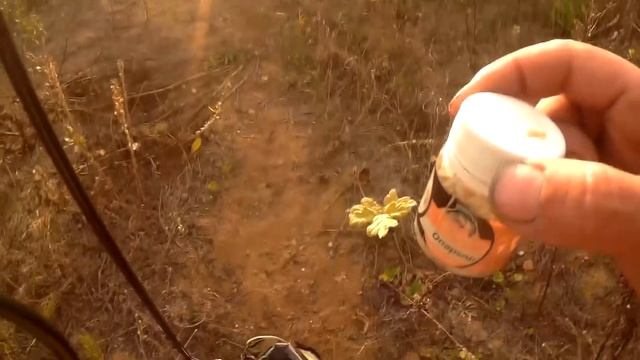 Рыбалка на час. Нано сплит-шот, уходим от нуля смотреть онлайн