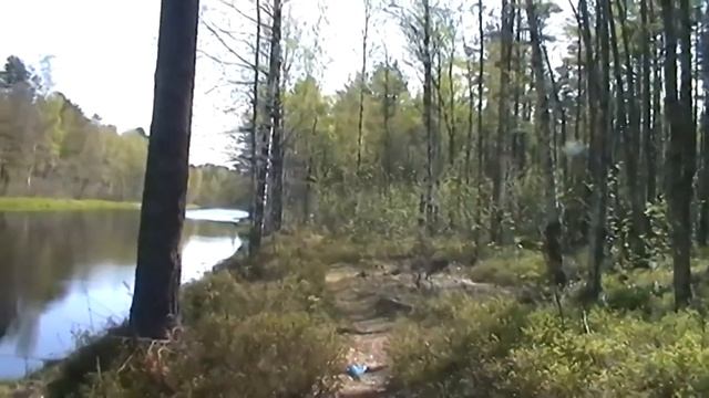 МОРЬЕ. В УСТЬЕ У ДЕРЕВНИ. РЫБАЛКА 13. 05. 2019 смотреть онлайн