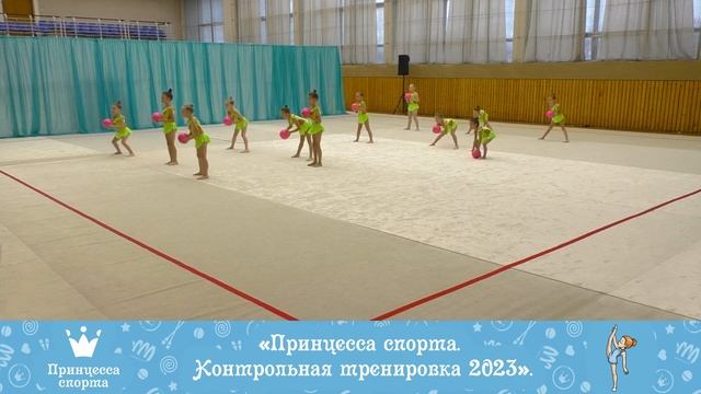 Контрольная тренировка 2023 - 19.11.2023 - Мальвинки - Тренер Шевко Е.М. смотреть онлайн