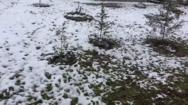 ❄️Зимняя прогулка с куклой реборн❄️ смотреть онлайн