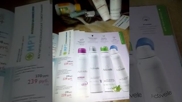 каталог номер7 смотреть онлайн