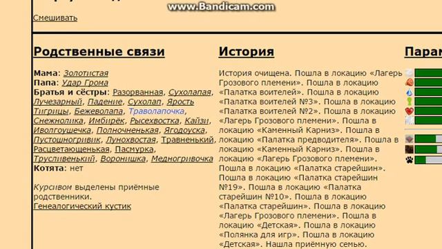 Кэт вар нашлась семья новая смотреть онлайн