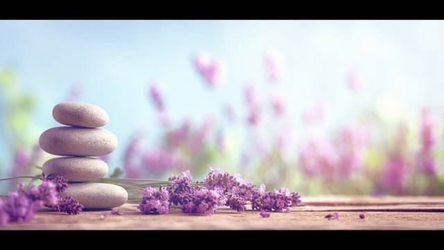 Beautiful Ambient Lavender Relaxing Zen Yoga Study Sleep Meditation Music смотреть онлайн
