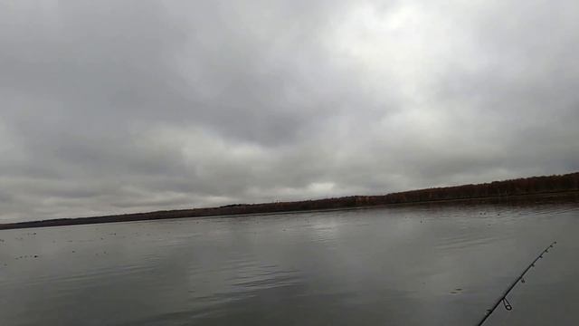 Щучки Подмосковного озера смотреть онлайн