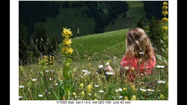 Testbericht Nikon AF-S DX 16-80 Mm Objektiv - Review