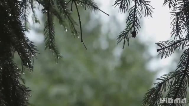 Rain soundsrain _sounds for studying_ sleep sounds_ rain sound_relaxing rain_ nature sounds_insomni смотреть онлайн