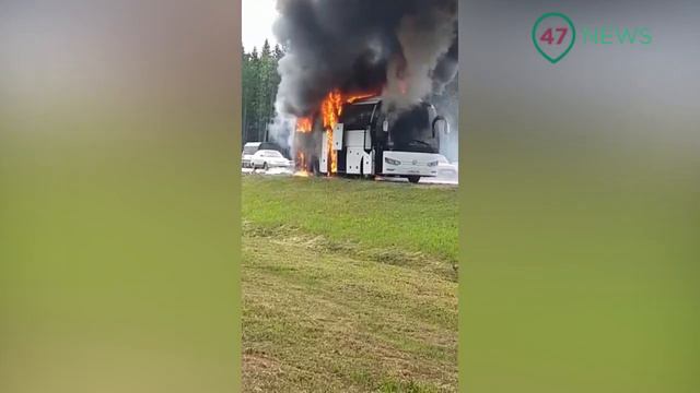 47news: Автобус с туристами вспыхнул на Приозерском шоссе у Агалатово