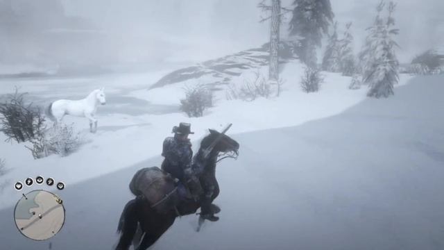 Самая лучшая лошадь в RDR 2. Как поймать арабского скакуна. RDR 2 (Red dead redemption 2) смотреть онлайн