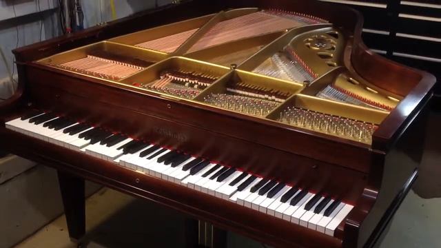 Part 7: Restored 1918 Chickering Grand Piano Plays Zez Confrey's Dizzy Fingers смотреть онлайн
