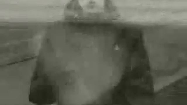 Kaktus - Лестех В Деле