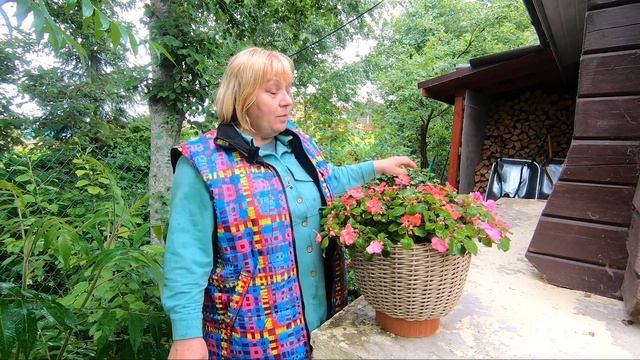 Обзор цветущих вазонов в моем саду. Контейнерное цветоводство: выращивание, подкормки, омоложение смотреть онлайн